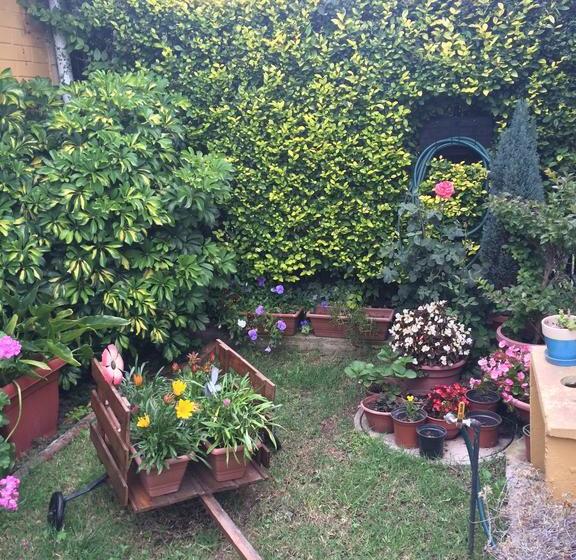 Bed and Breakfast Bed&Breakfast Casa Roble Añejo | Santa Cruz | O'Higgins | Chile 18