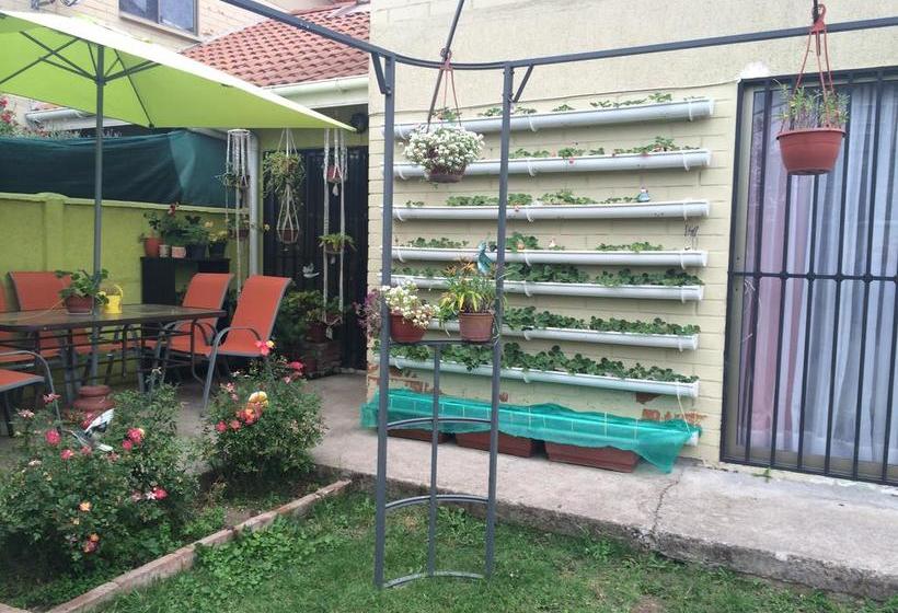 Bed and Breakfast Bed&Breakfast Casa Roble Añejo | Santa Cruz | O'Higgins | Chile 4