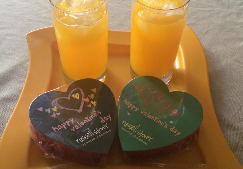 Bed and Breakfast Bed&Breakfast Casa Roble Añejo | Santa Cruz | O'Higgins | Chile 5