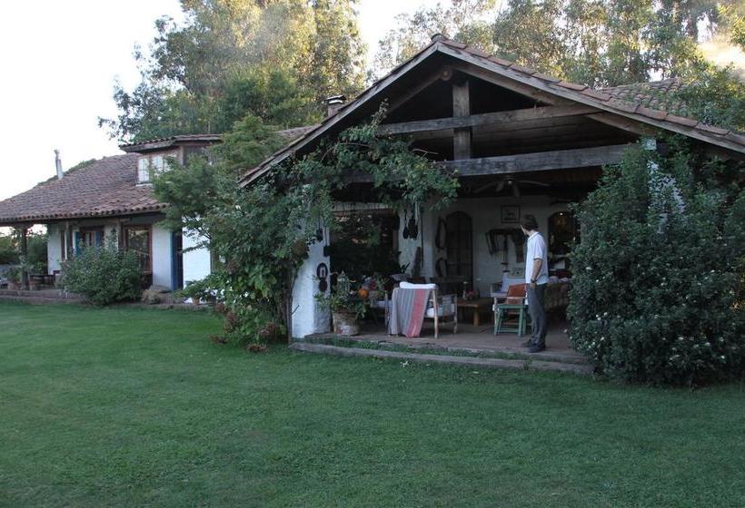 Bed and Breakfast Bed&Breakfast La Tropilla | Curico | Maule | Chile 1