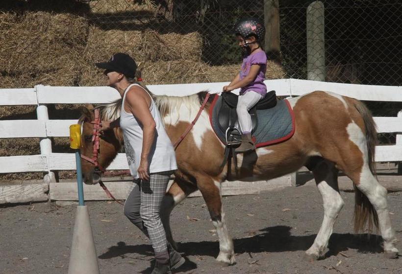 Bed and Breakfast Bed&Breakfast La Tropilla | Curico | Maule | Chile 11