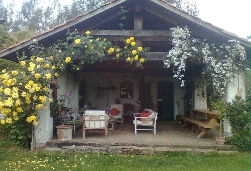 Bed and Breakfast Bed&Breakfast La Tropilla | Curico | Maule | Chile 14