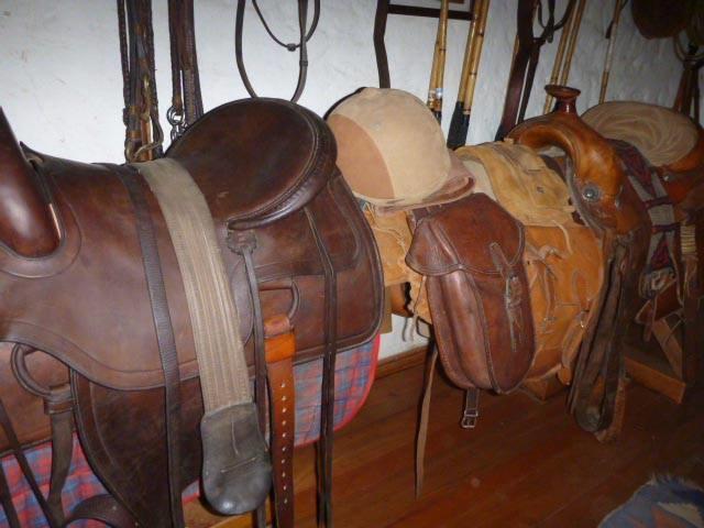 Bed and Breakfast Bed&Breakfast La Tropilla | Curico | Maule | Chile 16