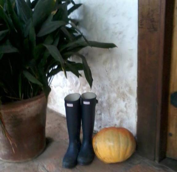 Bed and Breakfast Bed&Breakfast La Tropilla | Curico | Maule | Chile 17