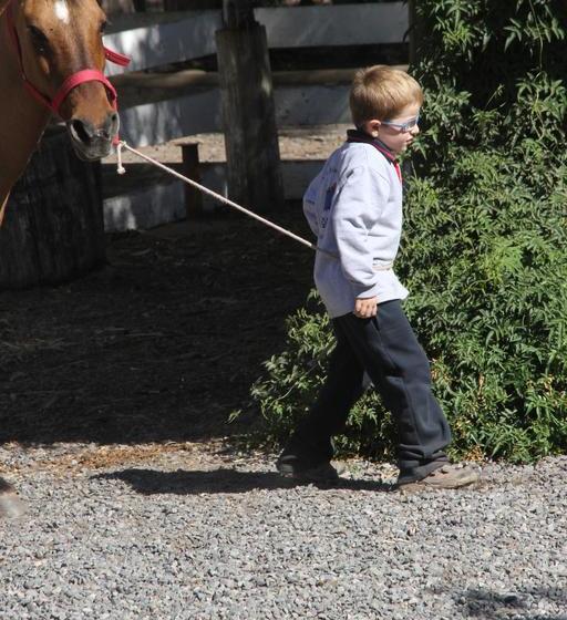 Bed and Breakfast Bed&Breakfast La Tropilla | Curico | Maule | Chile 18