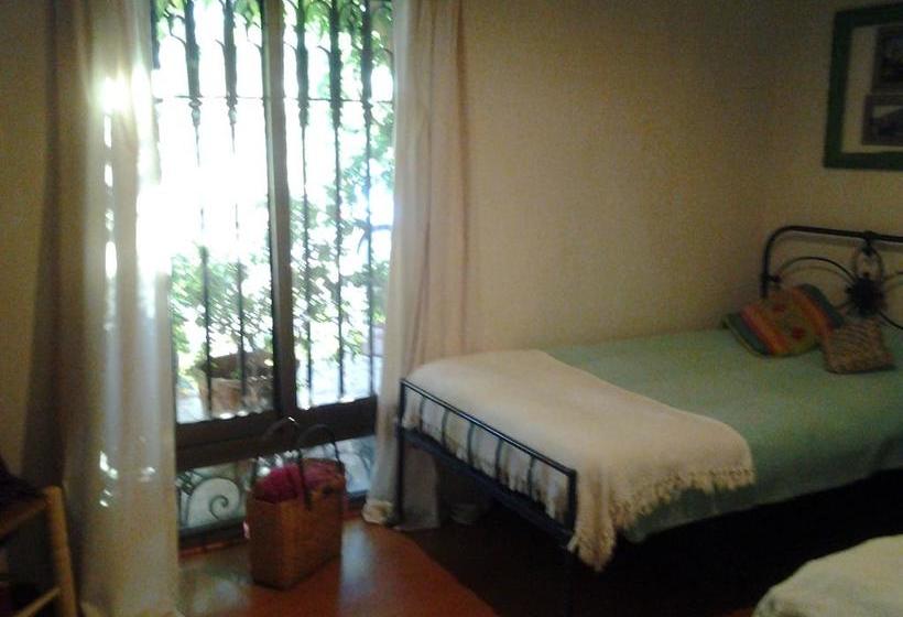 Bed and Breakfast Bed&Breakfast La Tropilla | Curico | Maule | Chile 4