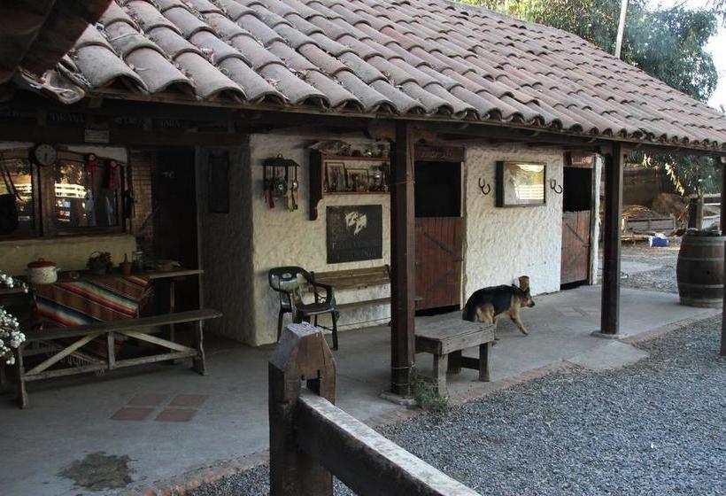 Bed and Breakfast Bed&Breakfast La Tropilla | Curico | Maule | Chile 8