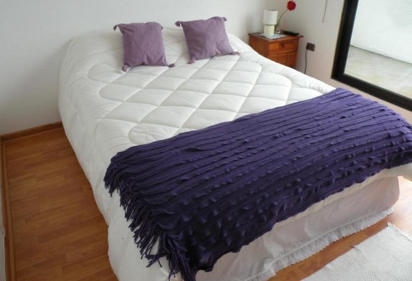 Bed and Breakfast Bed&Breakfast Casamoro | Viña del Mar | Valparaiso | Chile 4