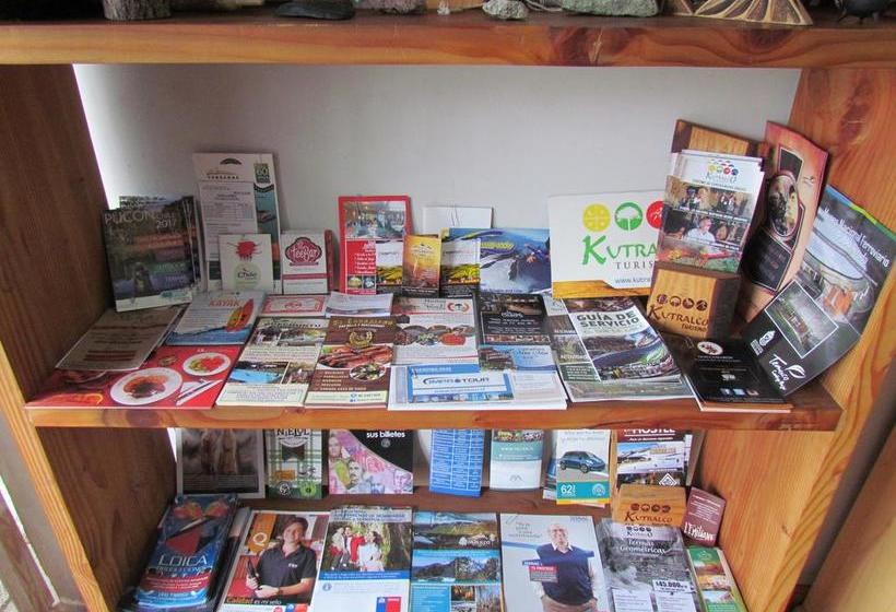 Ecohostel Temuco | Temuco | Araucanía | Chile 5