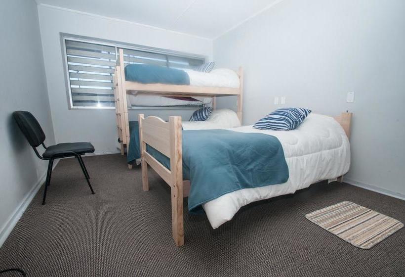 Ecohostel Temuco | Temuco | Araucanía | Chile 6