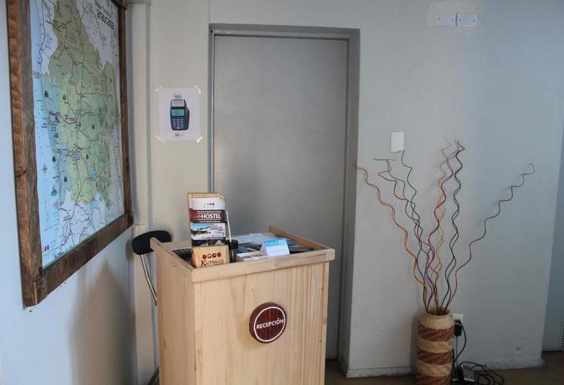 Ecohostel Temuco | Temuco | Araucanía | Chile 7