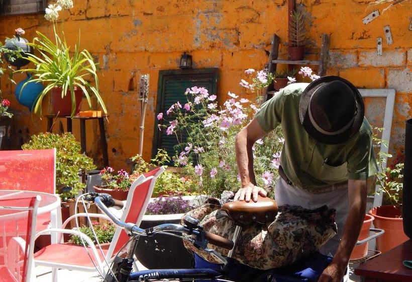 Street Garden Hostel | Viña del Mar | Valparaiso | Chile 1