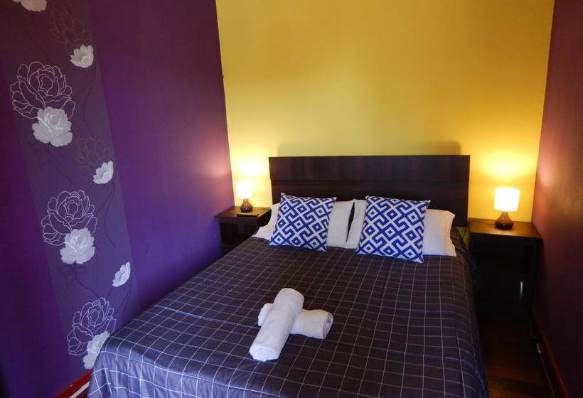 Street Garden Hostel | Viña del Mar | Valparaiso | Chile 10