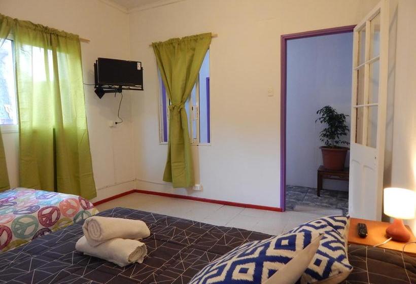 Street Garden Hostel | Viña del Mar | Valparaiso | Chile 11