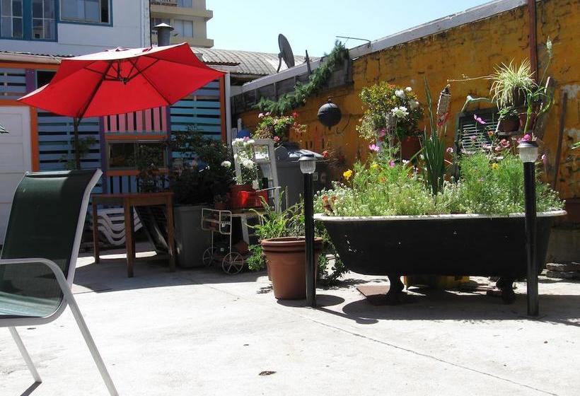 Street Garden Hostel | Viña del Mar | Valparaiso | Chile 12