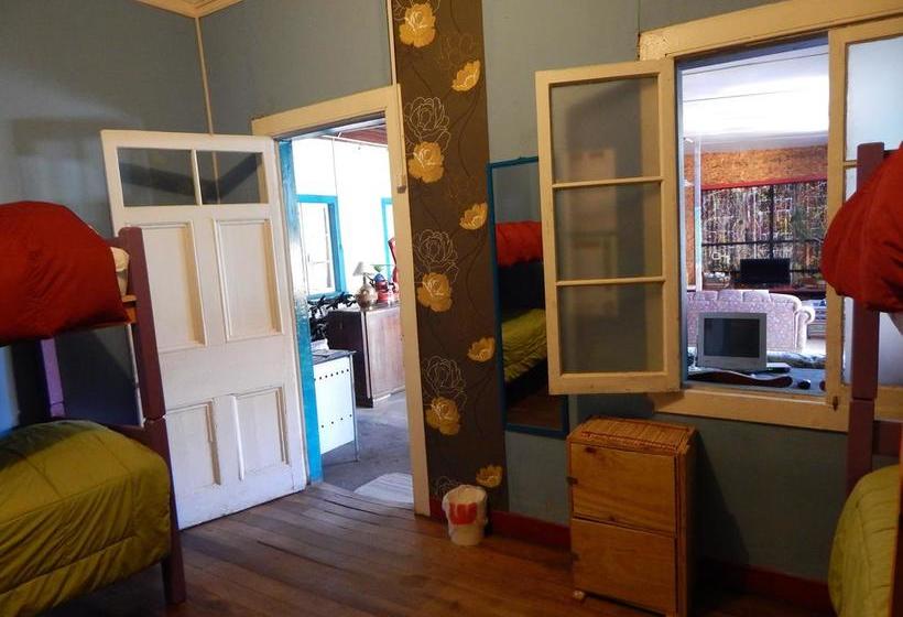 Street Garden Hostel | Viña del Mar | Valparaiso | Chile 13