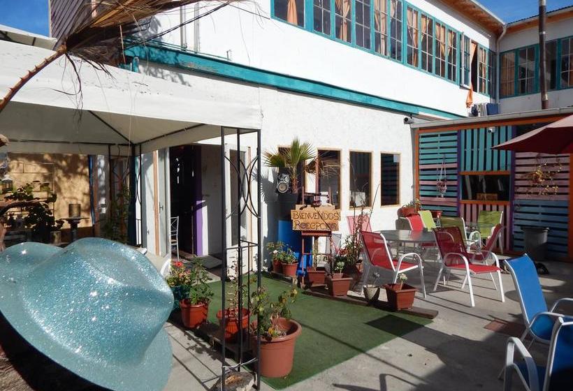 Street Garden Hostel | Viña del Mar | Valparaiso | Chile 15