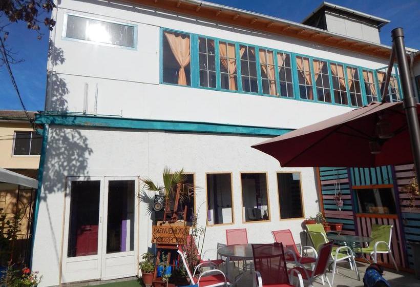 Street Garden Hostel | Viña del Mar | Valparaiso | Chile 16