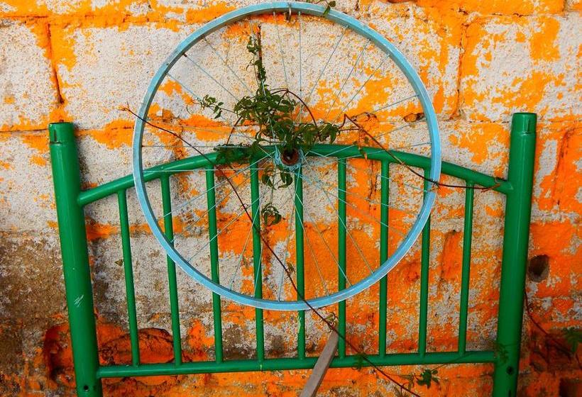 Street Garden Hostel | Viña del Mar | Valparaiso | Chile 18