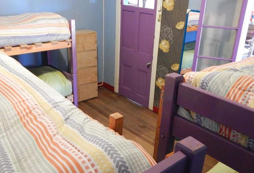 Street Garden Hostel | Viña del Mar | Valparaiso | Chile 20