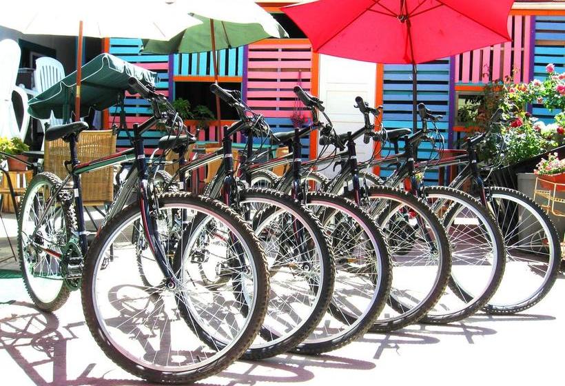 Street Garden Hostel | Viña del Mar | Valparaiso | Chile 6