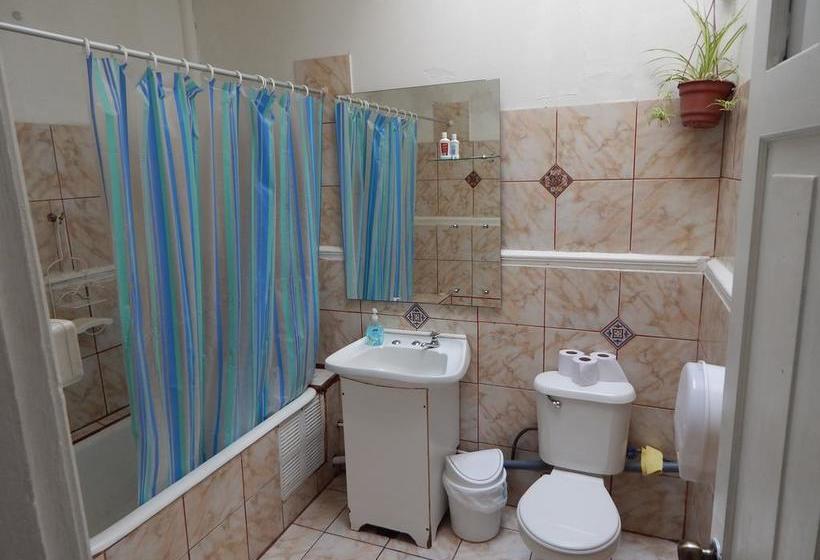 Street Garden Hostel | Viña del Mar | Valparaiso | Chile 8