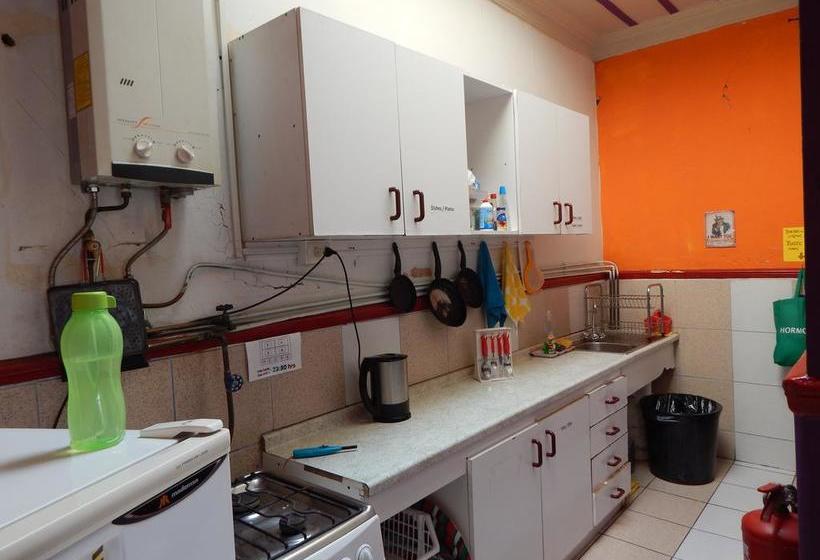 Street Garden Hostel | Viña del Mar | Valparaiso | Chile 9