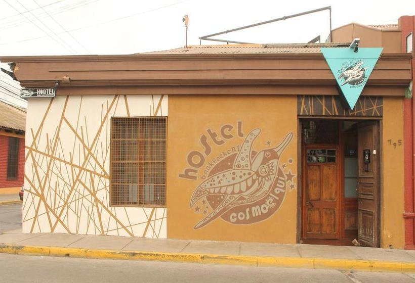 Party Hostel Cosmo Elqui | La Serena | Coquimbo | Chile 7