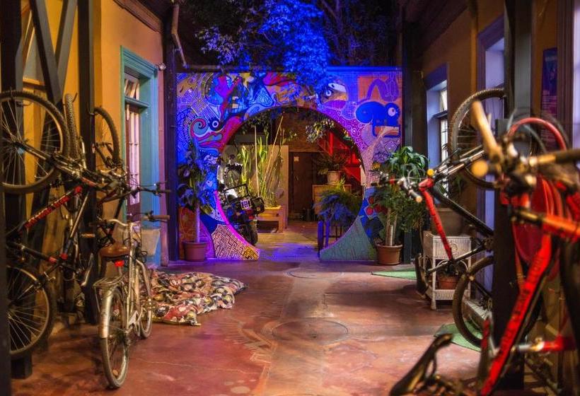 Party Hostel Cosmo Elqui | La Serena | Coquimbo | Chile 9