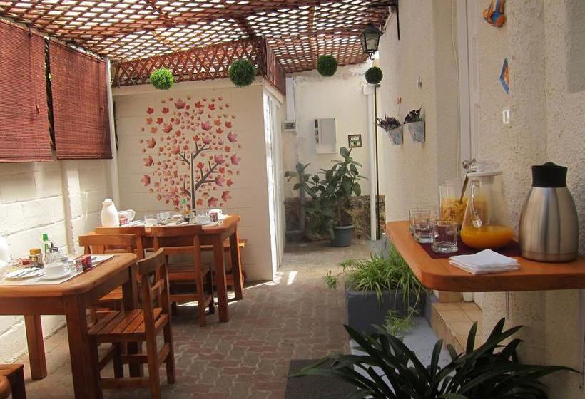 Hostal 7 Norte | Viña del Mar | Valparaiso | Chile 5