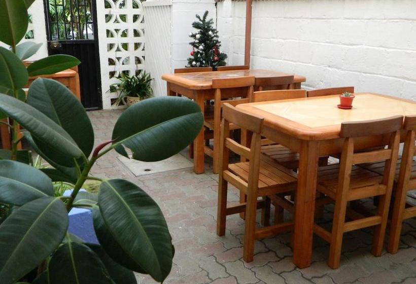 Hostal 7 Norte | Viña del Mar | Valparaiso | Chile 7