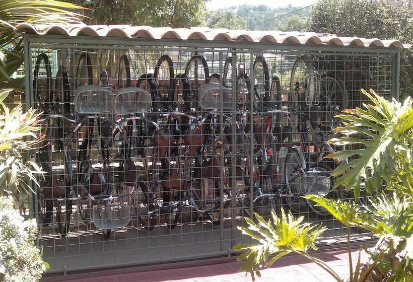 Hostal Casona de Chorrillos | Viña del Mar | Valparaiso | Chile 3