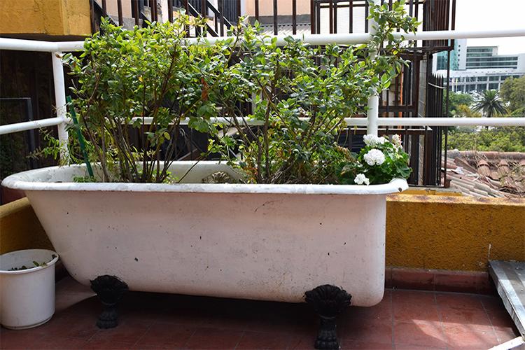 Hostal Casa Roma | Viña del Mar | Valparaiso | Chile 16