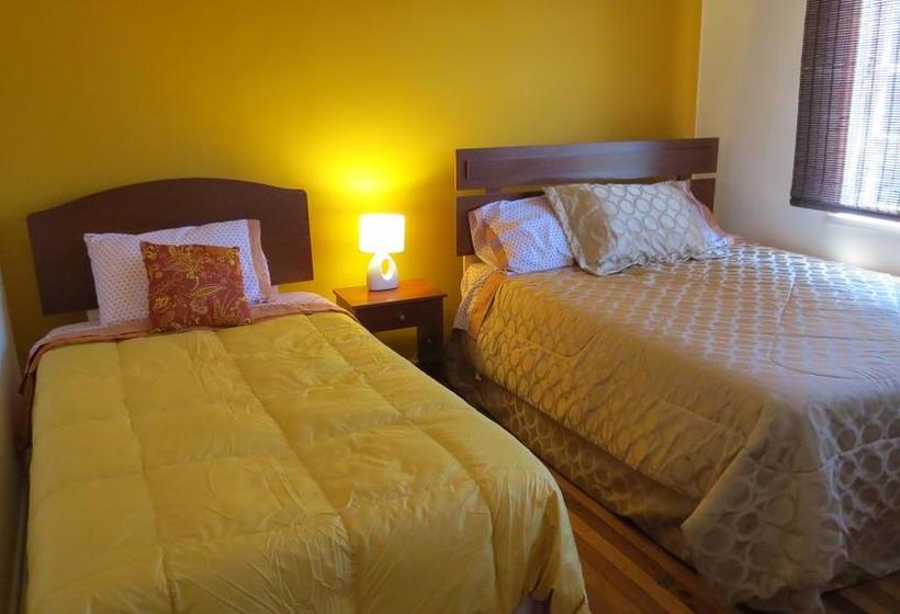 Hostal Encuentro Entre Culturas | Viña del Mar | Valparaiso | Chile 20