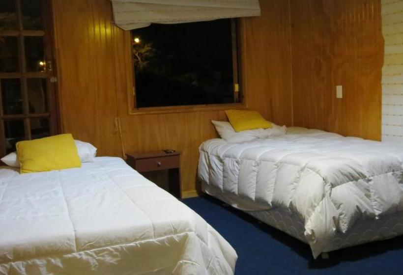 Hostal Encuentro Entre Culturas | Viña del Mar | Valparaiso | Chile 5