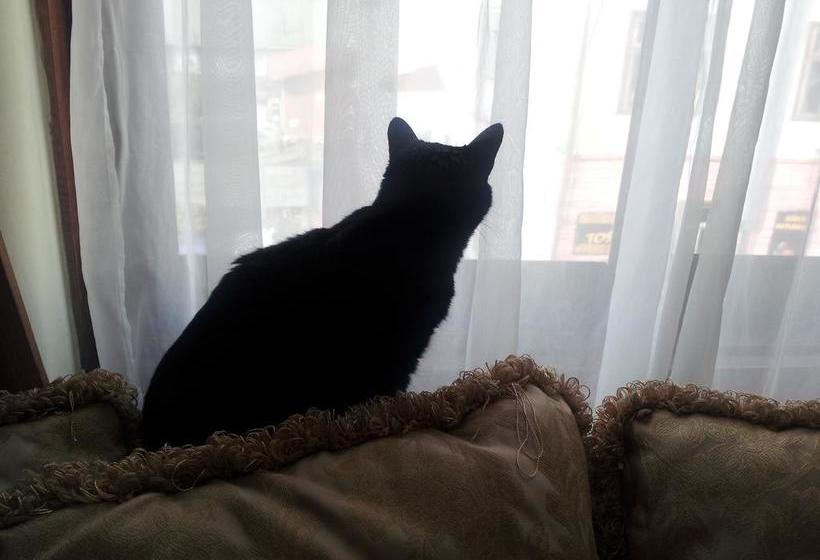 Bed and Breakfast Hospedaje Del Sur | Valdivia | Los Lagos | Chile 8