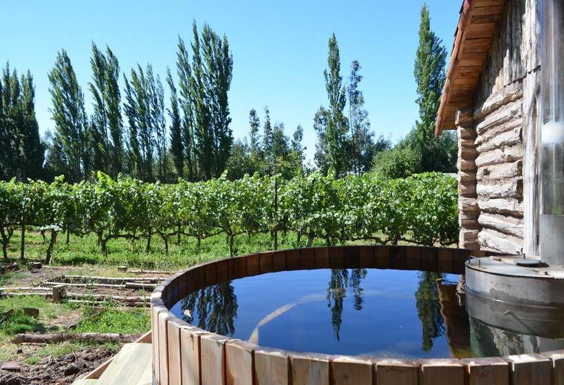 Hotel Parronales | Santa Cruz | O'Higgins | Chile 10