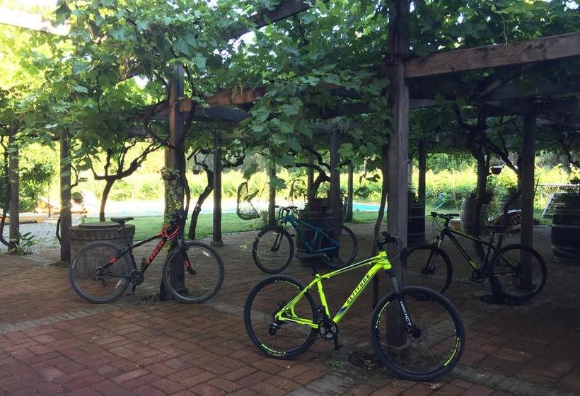 Hotel Parronales | Santa Cruz | O'Higgins | Chile 12