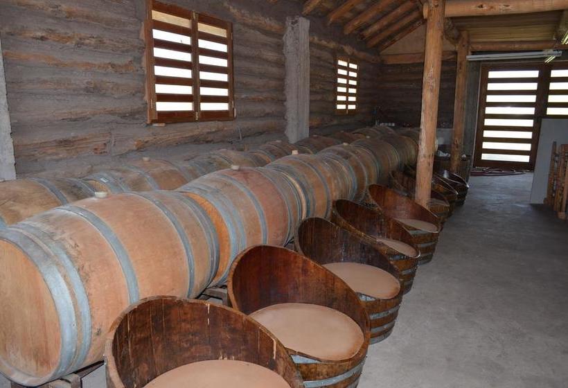 Hotel Parronales | Santa Cruz | O'Higgins | Chile 14