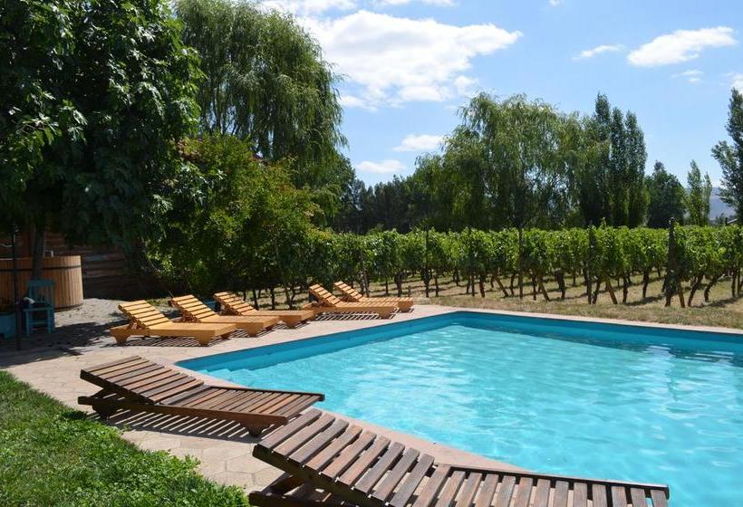 Hotel Parronales | Santa Cruz | O'Higgins | Chile 18