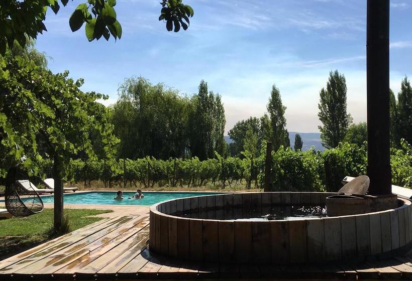 Hotel Parronales | Santa Cruz | O'Higgins | Chile 3