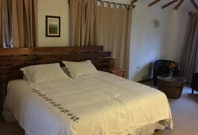 Hotel Parronales | Santa Cruz | O'Higgins | Chile 4