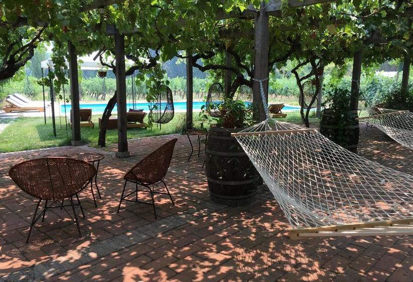 Hotel Parronales | Santa Cruz | O'Higgins | Chile 6