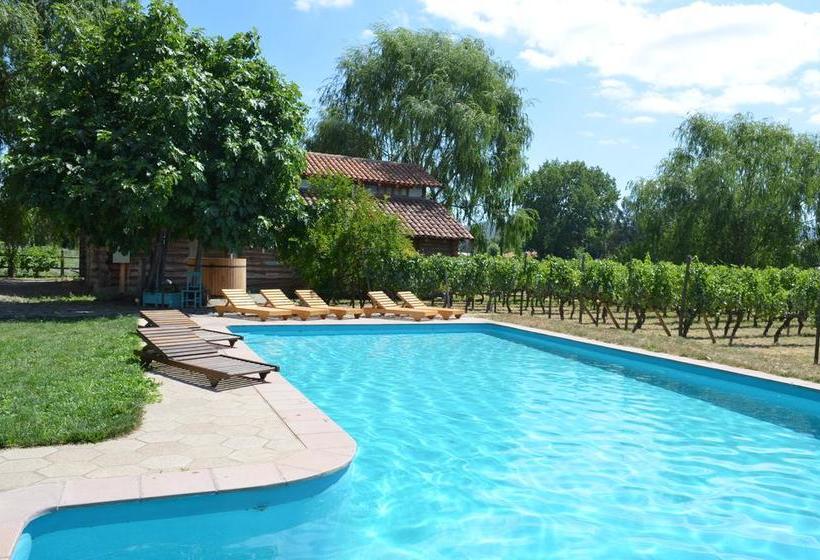 Hotel Parronales | Santa Cruz | O'Higgins | Chile 7