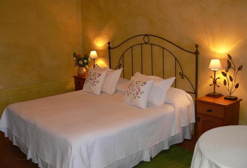 Bed and Breakfast Posada Colchagua | Santa Cruz | O'Higgins | Chile 14
