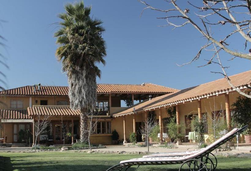 Bed and Breakfast Posada Colchagua | Santa Cruz | O'Higgins | Chile 19