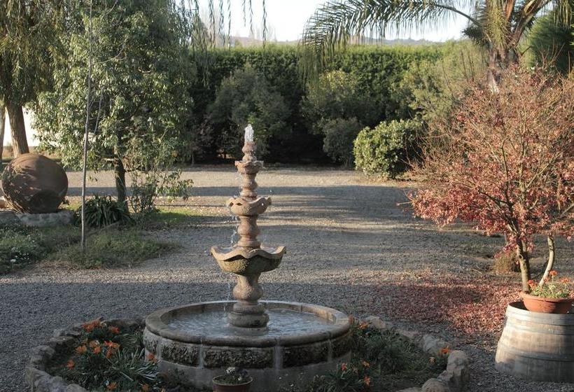 Bed and Breakfast Posada Colchagua | Santa Cruz | O'Higgins | Chile 9