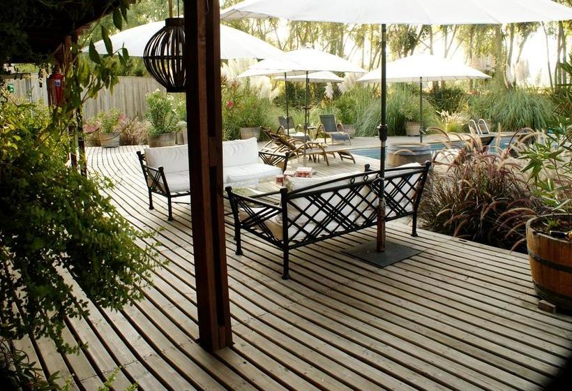 Bed and Breakfast Barrica Lodge | Santa Cruz | O'Higgins | Chile 20