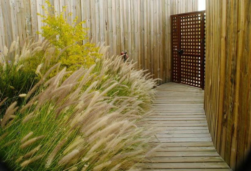 Bed and Breakfast Barrica Lodge | Santa Cruz | O'Higgins | Chile 6