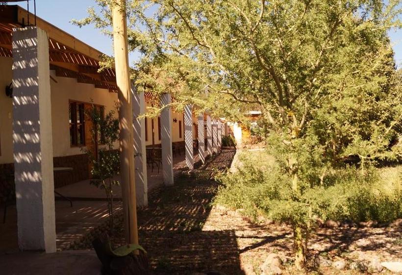 Bed and Breakfast Hostal Terracota | San Pedro de Atacama | Antofagasta | Chile 17